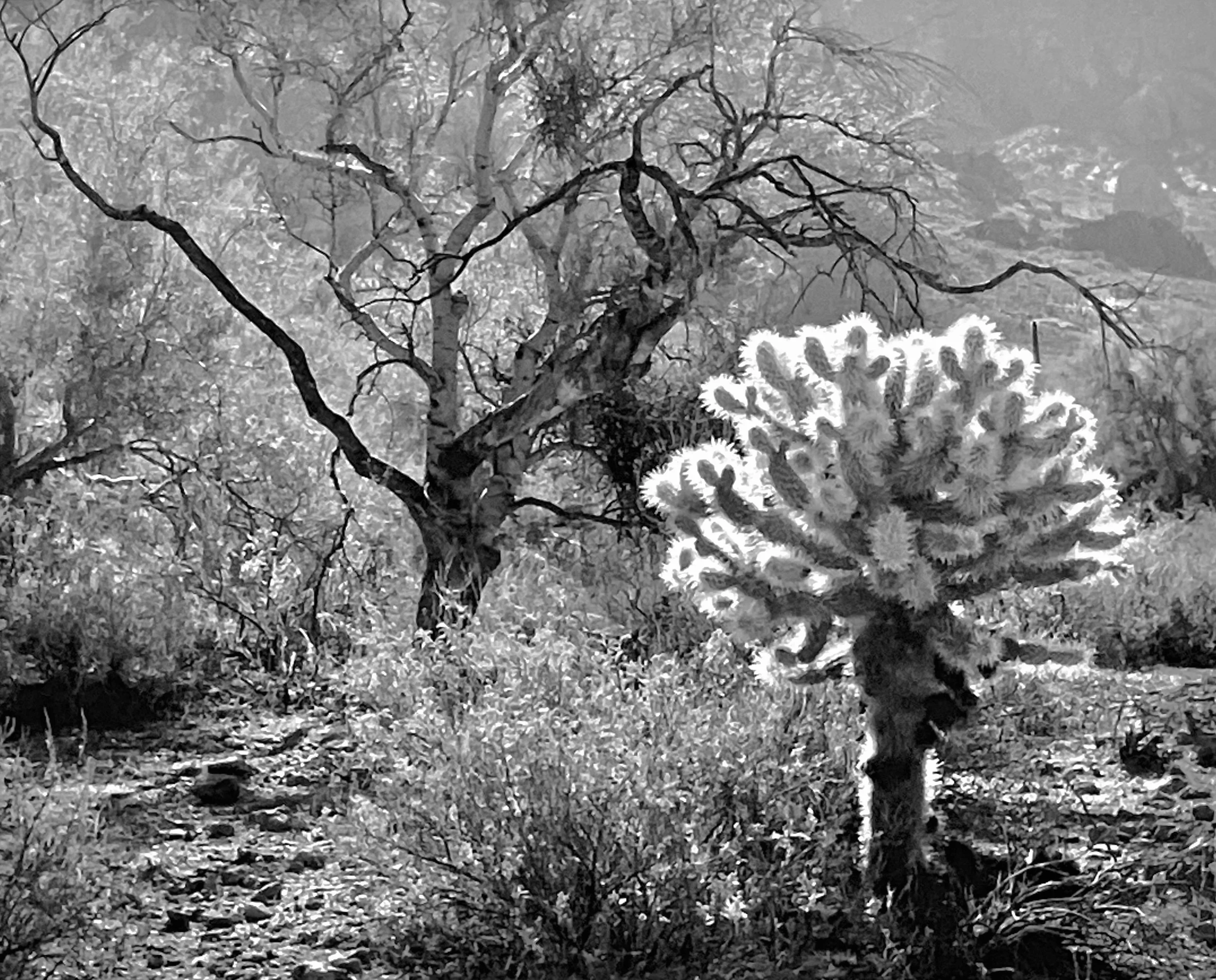 絵画 Lone Mountain ファイル:Thomas Moran - Grand Canyon of the Yellowstone